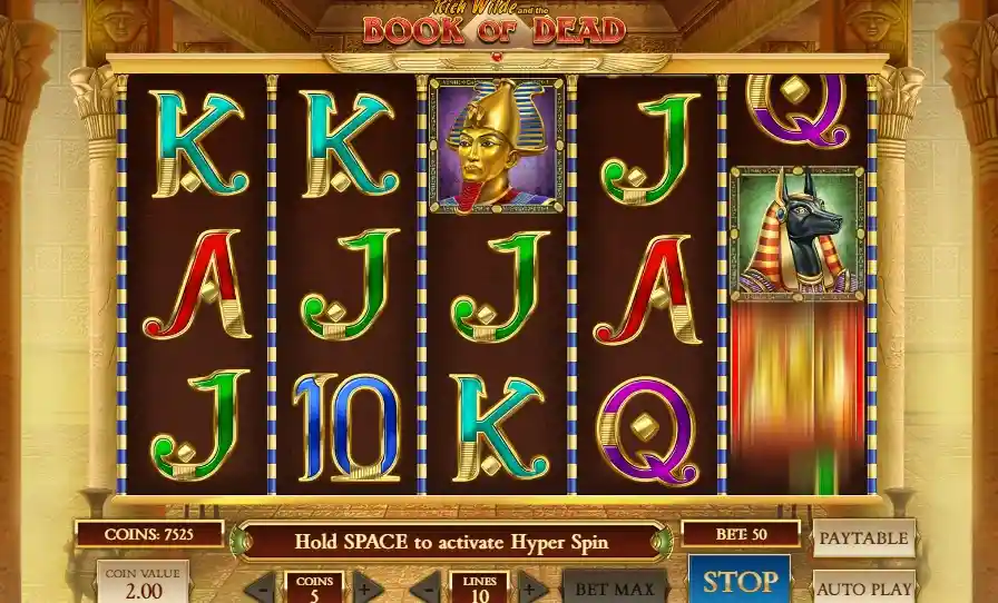Demo Book of Dead - Giros, Bonus y RTP Percibido