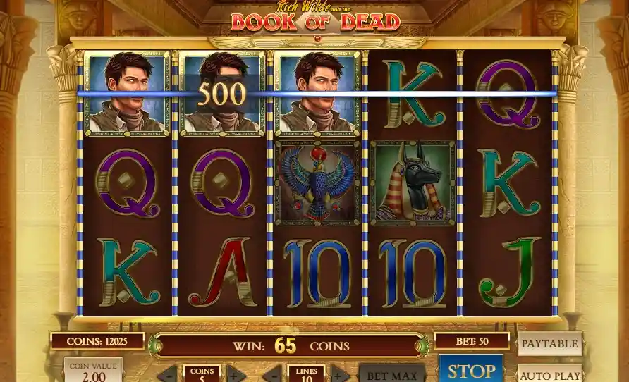 Reseña Honesta Book of Dead - Volatilidad y Bonus