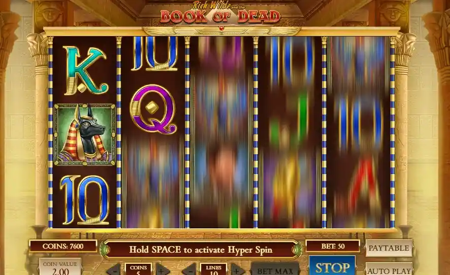 Mi experiencia jugando Book of Dead en sesiones reales